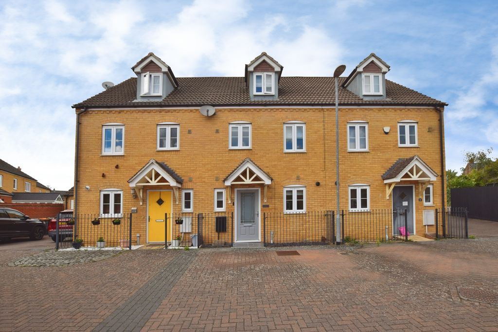 Main Image